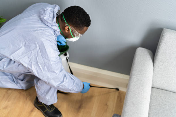 Trusted Hackensack, NJ Pest control Experts